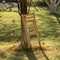 Playberg Wooden Folding Portable Toilet Seat for Camping and Hiking with Backrest QI004419 - alternate 6